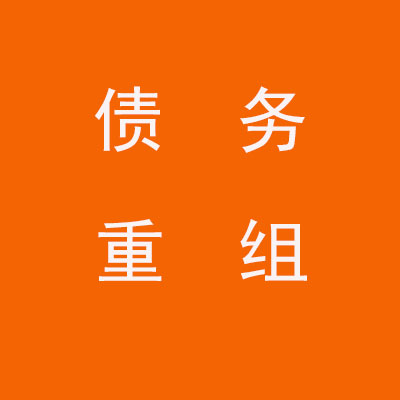镇原个人债务重组优化
